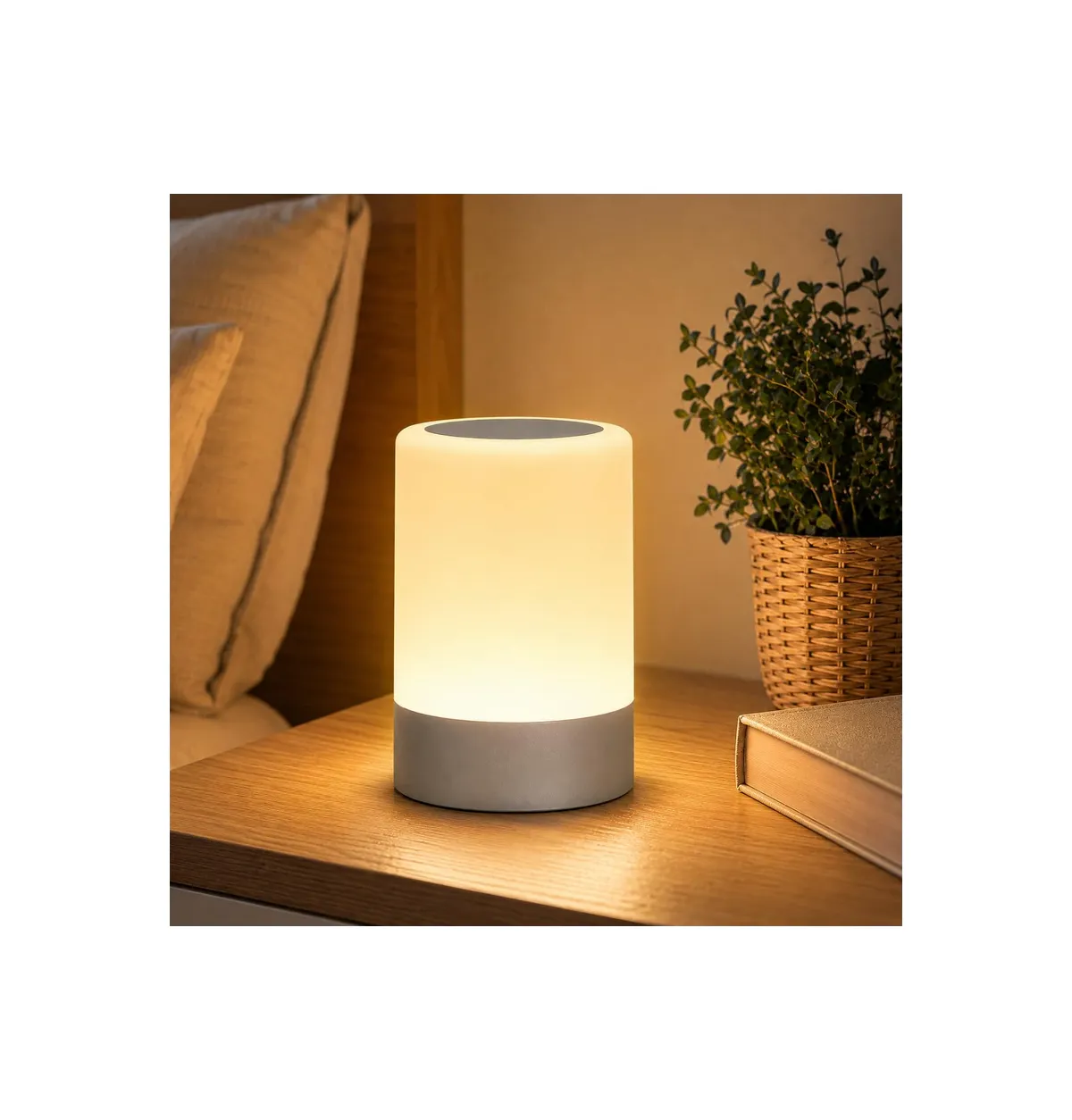 FLYNGO Touch Control LED Night Light Table Lamp for Bedroom, Living Room, and Study, with Adjustable Brightness, USB Rechargeable (A1)Plastic ,White